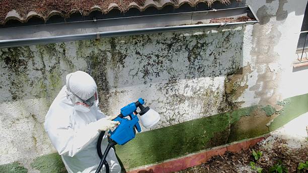 Top rated local Mold Inspection And Testing specialists in Ashland, OR